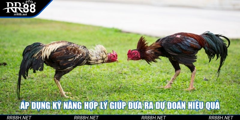 Áp dụng kỹ năng hợp lý giúp đưa ra dự đoán hiệu quả