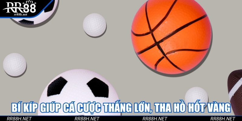Bí kíp giúp cá cược thắng lớn, tha hồ hốt vàng