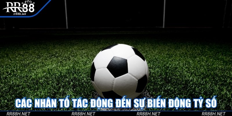 Các nhân tố tác động đến sự biến động tỷ số