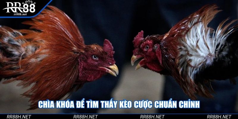 Chìa khóa để tìm thấy kèo cược chuẩn chỉnh
