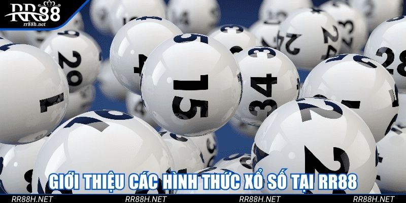 Giới thiệu các hình thức xổ số tại rr88