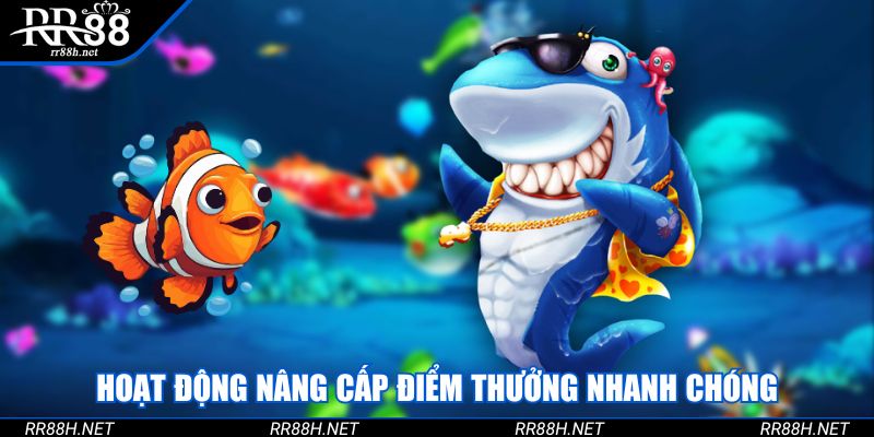Hoạt động nâng cấp điểm thưởng nhanh chóng