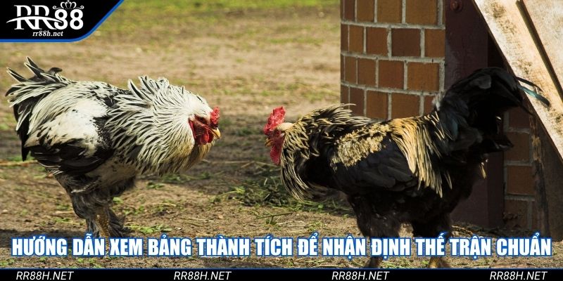 Hướng dẫn xem bảng thành tích để nhận định thế trận chuẩn