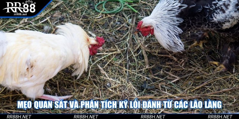Mẹo quan sát và phân tích kỹ lối đánh từ các lão làng