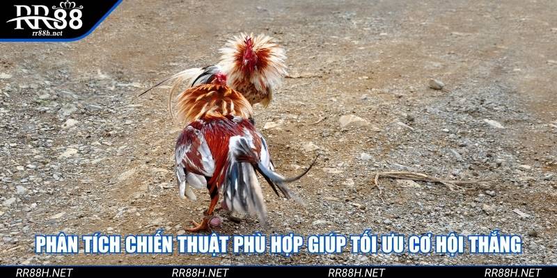 Phân tích chiến thuật phù hợp giúp tối ưu cơ hội thắng