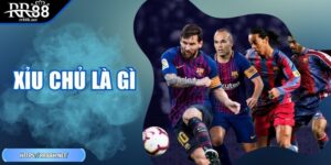 Xỉu Chủ Là Gì – Giải Thích Chi Tiết, Cách Áp Dụng Chuẩn Xác