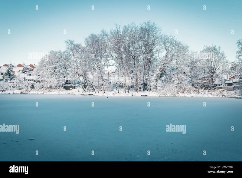 Experience the Thrill of Ice Fishing Live Casino Games in the UK